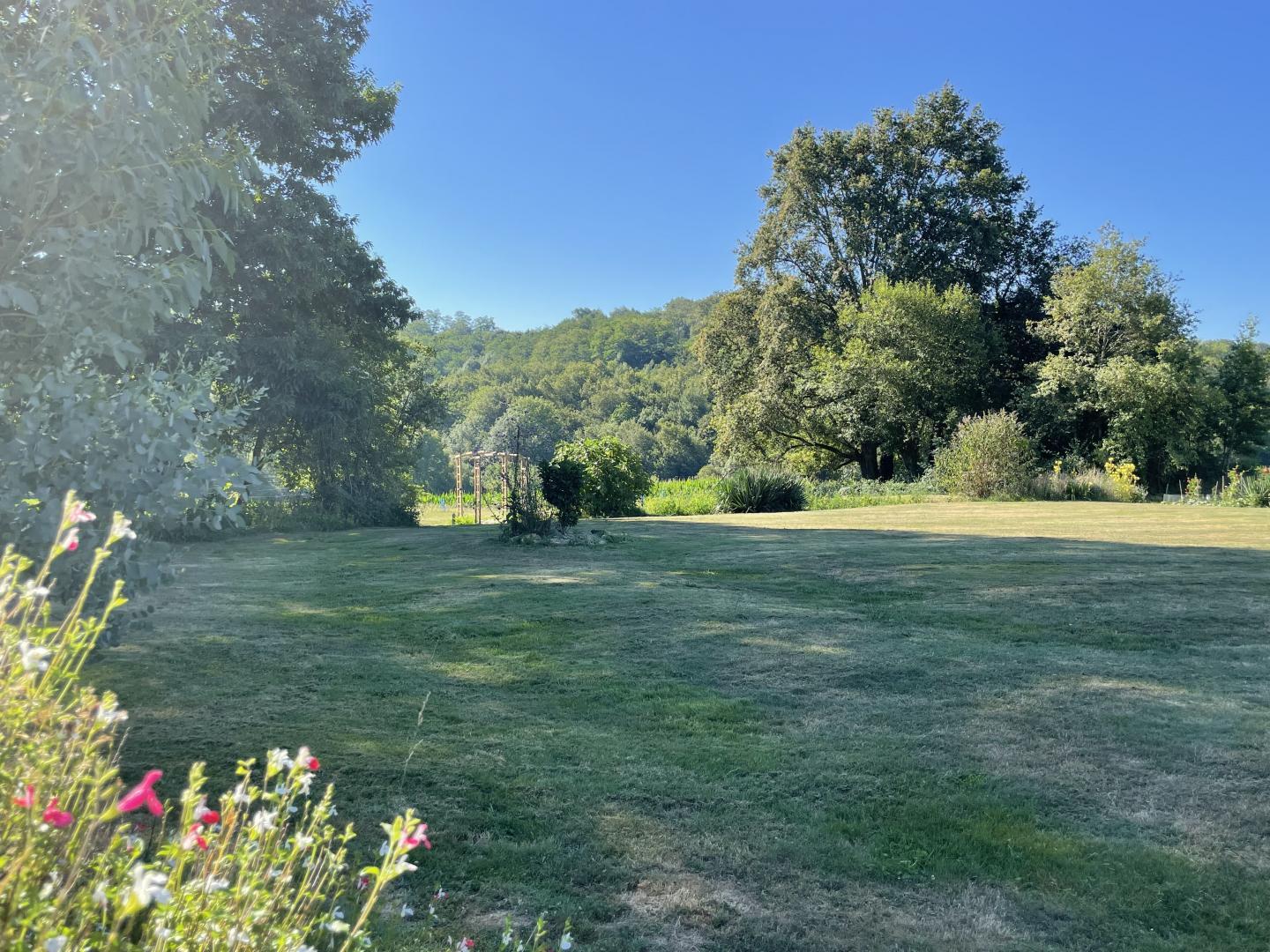 Sweeping lawn and mature trees with wildflowers at Maison Lajus half-hectare grounds, Pyrénées-Atlantiques South West France