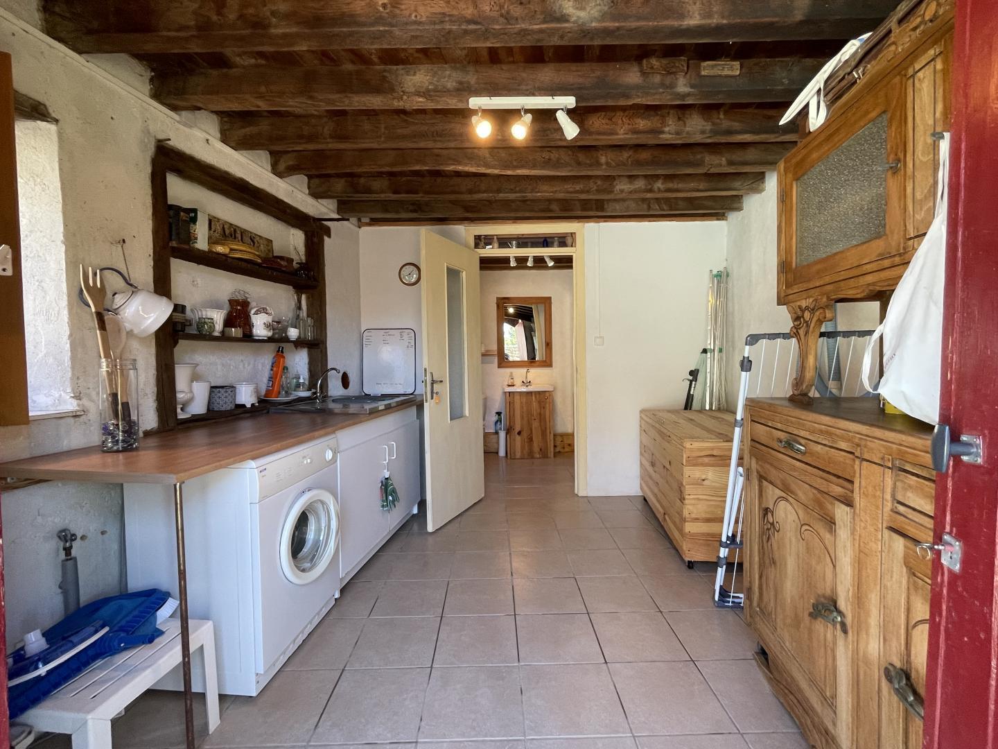 Pool house annexe with washing machine, tumble dryer, sink and shower room at Maison Lajus, Pyrénées-Atlantiques